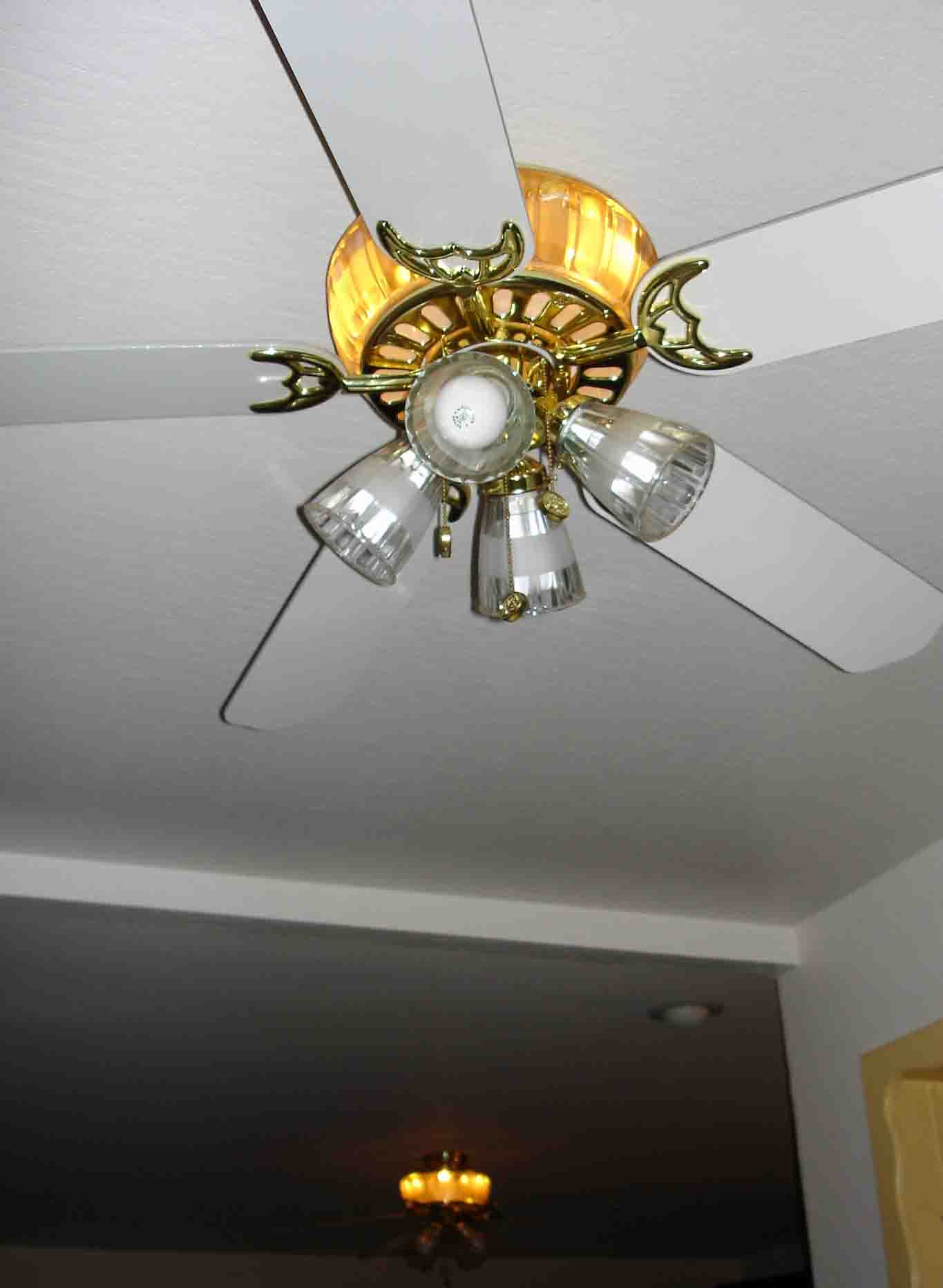 dualfans.jpg